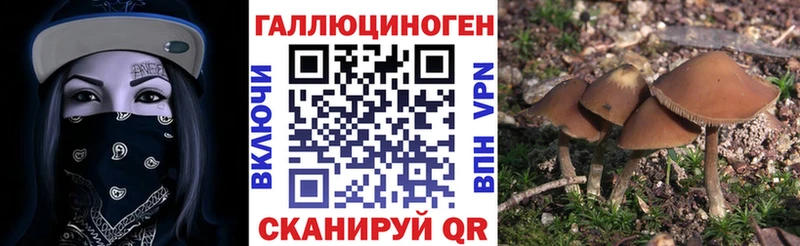 Галлюциногенные грибы прущие грибы  Верхоянск 